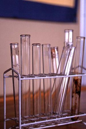 新富町でおすすめの歯医者を徹底比較！家族みんなが安心して通える歯科医院ガイド