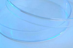 飯田市で歯を失ったなら早めの治療を