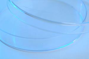 海老名で選ばれる歯医者の特徴と治療法：家族全員の健康を守るための完全ガイド