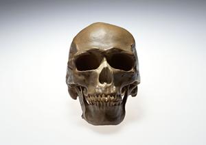 兵庫県でプチ整形をお考えの方にぜひ