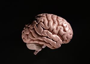 2025年最新版：さいたま市で精神科をお探しの方に役立つ完全ガイド