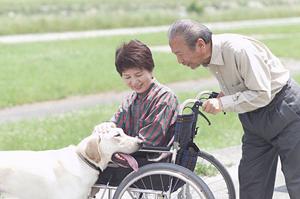 天童市の糖尿病内科事情2026：最新の治療法と安心できる診療所ガイド